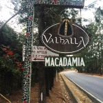 Hier geht's zur Farm